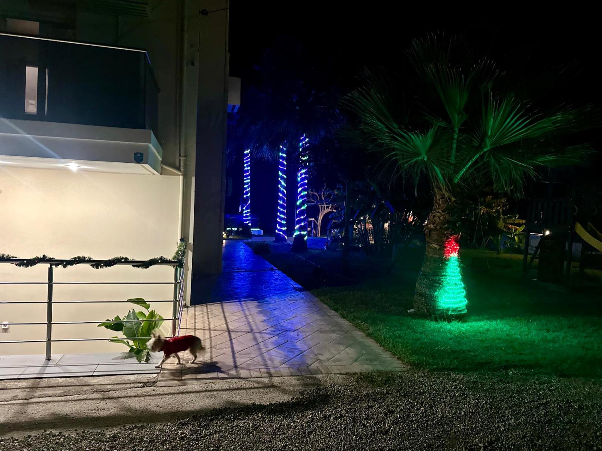 Martimi Apartments - 200M From Drapanias Beach - Pool - Hot Tub - Sauna - Bbq Kíssamos Exteriör bild