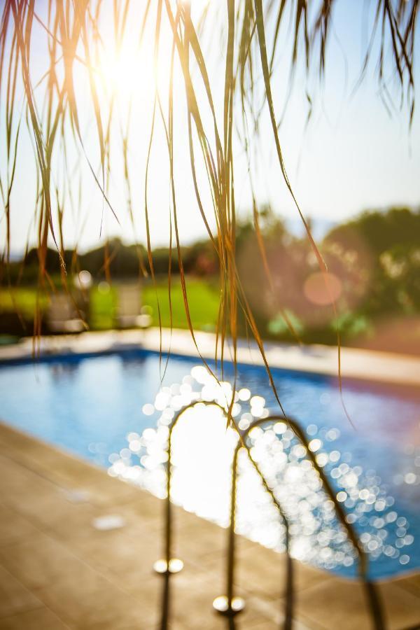 Martimi Apartments - 200M From Drapanias Beach - Pool - Hot Tub - Sauna - Bbq Kíssamos Exteriör bild
